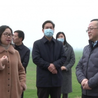 長(cháng)江委、省水利廳檢查組來(lái)枝江檢查河道采砂管理工作