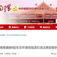 超時(shí)、超量、越界采砂！湖南通報6起生態(tài)環(huán)境領(lǐng)域違紀違法典型案例 2起與砂石有關(guān)！