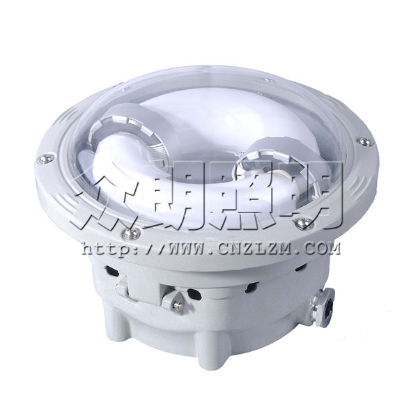 NFC9176長(cháng)壽頂燈